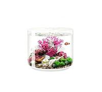 Aquarium De Bureau En Acrylique, Petit Aquarium Cylindrique Doté D'un Éclairage LED Tricolore Et D'un Système De Filtration, Incluant Un Kit De Micro-paysage À Assembler Soi-même(Multi-colored-B)