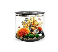 Aquarium De Bureau En Acrylique, Petit Aquarium Cylindrique Doté D'un Éclairage LED Tricolore Et D'un Système De Filtration, Incluant Un Kit De Micro-paysage À Assembler Soi-même(Multi-colored-A)