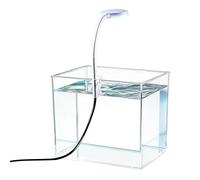 Aquarium de bureau - Mini bol à poisson rouge compact, kit de démarrage transparent moderne pour salon, éclairage réglable et stable pour l'eau intérieure | Appartement Hôtel Bureau Salle d'étude à pe