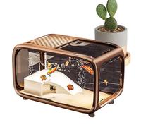 Aquarium De Bureau,Petite Baignoire Avec Décoration Escalade - Conteneur En Acrylique Transparent Habitat Pour Tortues Escargots Betta Plantes Aquatiques
