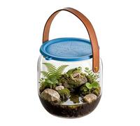 Aquarium De Plage Catch And Release - Conteneur De Transport De Poisson Transparent, Portable Et Respirant | Habitat D'observation Pour Crabes Petites Tortues Étoiles De Mer Coquillages Betta Plage En