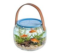 Aquarium de plage pour capturer et libérer | avec poignée portable et couvercle en silicone | Aquarium capture et relâchement | Pour Betta, crabe, petites tortues, coquillages, vie aquatique, maison