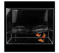 Aquarium de Poissons Professionnel créatif, Aquarium en Acrylique Transparent, Plastique Robuste, Grand Aquarium for Poissons, Tortues, Insectes, Peut être utilisé comme boîte de Rangement(50x10x20)