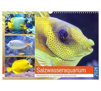 Aquarium d'eau salée. Des poissons marins dans votre salon, Version française (Calendrier mural 2026 DIN A3 portrait), Calendrier CALVENDO mensuel