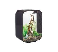 biOrb Aquarium décoratif Life 15 MCR – 15 L, cadre noir, LED multicolores