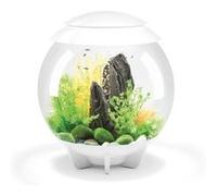 Aquarium décoratif - OASE - Halo 30 MCR - 30L - Éclairage multicolore - Acrylique blanc