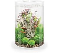 Aquarium décoratif 30l blanc Oase Tube 30 MCR white