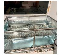 Aquarium d'extérieur en PVC avec fenêtre transparente et valve de vidange, pour l'élevage de poissons et le jardin, assemblage facile