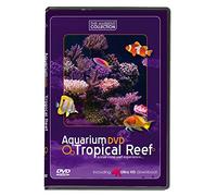 Aquarium DVD - Récif Tropical en 4K Ultra HD Téléchargement avec son naturel et music relaxante