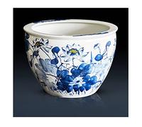 Aquarium en céramique pour poissons rouges - Grand réservoir d'eau pour salon - Aquarium de culture de lotus, tortue - Kit de démarrage - Aquarium en verre (B, 40 cm)