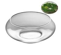 Aquarium en Verre | Grand Pot De Hydroponique,Bac Poisson Large et Bas Rond pour Décoration d'Intérieur Succulentes et Présentation