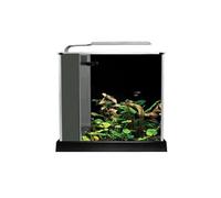 Fluval Spec III (10 Litre) Nano Aquarium Couleur: Noir - 27,5 x 32,5 X 22,3 CM