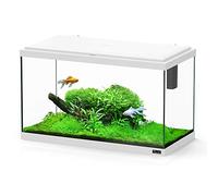 Aquarium Explorer Paris Blanc