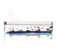 Aquarium Fish Tank Petit Verre Rectangulaire Aquarium Réservoir Écologique Verre Transparent Salon Bureau Bureau Fish Tank Décoration Bac à Poisson(Moyen)