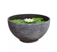Aquarium Fish Tank Pisciculture Bol Écologique Lotus Aménagement Paysager Pot De Nénuphar Pot De Fleur Cour Goldfish Tank Fish Tank Décorations