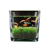 Aquarium Fish Tank Verre Épaissi Transparent Fish Tank Eau Plante Graines Micro Paysage Ornements Maison Bureau Eau Plante Boue Réservoir Écologique Bac à Poisson(Moyen)