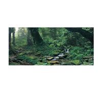 Aquarium Fond Affiche Autocollant Belle PVC Adhésif Riverway Vert Woods Fond Affiche Fish Tank Décoration(91*50cm)