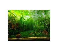 Aquarium Fond Fish Tank Décorations Photos PVC Adhésif Affiche Eau Herbe Style Toile de Fond Décoration Papier Coller Stickers Autocollant(61 * 30cm)