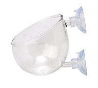 Aquarium Graines Eau Herbe Pots Réservoir Décoration Paysage Ornement Facile Aquatique Vivre Plante Poisson De Haute Qualité Pratique et PopulaireIntelligent et Attrayant.