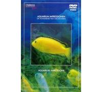 Aquarium Impressionen - Special Interest