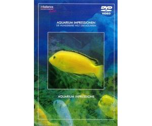 Aquarium Impressionen - Special Interest
