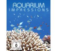 Aquarium Impressions