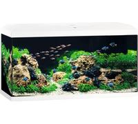 Aquarium JUWEL Primo 110 LED 2.0 avec couvercle, filtre Bioflow Super, pompe Eccoflow, AquaHeat Pro, NovoLux LED env. 81 x 36 x 43,5 cm, env. 110 l blanc