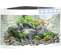Aquarium JUWEL Trigon 190 avec éclairage LED, filtre, chauffage sans meuble blanc env. 98,5 x 70 x 60 cm env. 190 L Aquarium d angle