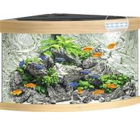 Aquarium JUWEL Trigon 190 avec éclairage LED, filtre, chauffage sans meuble inférieur bois clair env. 98,5 x 70 x 60 cm env. 190 L Aquarium d angle