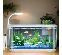 Aquarium Kit Aquarium avec Éclairage LED et Système de Filtration, 11L, 30x20x19cm, Clear SilentAquarium, Noir/Blanc