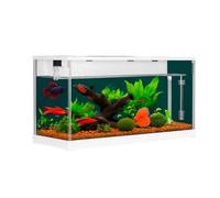 Aquarium kit complet avec éclairage LED, acrylique, transparent, petit nano aquarium tropical pour poissons et crevettes, 38 x 14 x 18 cm