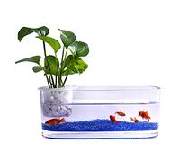 Aquarium, Kits de démarrage d'aquarium, Vase hydroponique en Verre Transparent créatif for Aquarium, décoration de Bureau, Petit Aquarium, réservoir de Plantes Aquatiques