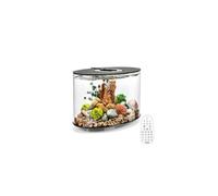 Loop 15 Aquarium avec lumière LED Multicolore - Télécommande