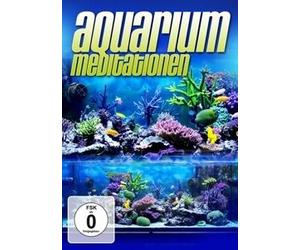 Aquarium Meditationen