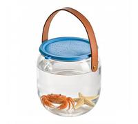 Aquarium Nomade | Seau pêche transparent avec poignée | Bac De Maintien Pour Poissons | pour Betta crabes petites tortues coquillages vie aquatique maison extérieur plage piscine lac