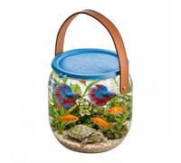 Aquarium Nomade | Transparent Portable Respirant | Aquarium Attrape Et Relâche | pour Maison Extérieur Plage Piscine Lac Voyage Crabes Coquillages Étoiles De Mer Betta Vie