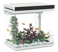 Aquarium PawHut 26 litres avec Filtre, éclairage LED, Pompe à Eau, pour différentes espèces de Poissons, env. 38 x 26 x 38 cm