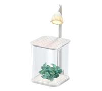 Aquarium Paysage De Table - Aquarium En Verre Paysage, Bol De Poissons De Table Betta | Aquarium Avec Lumière De Nuit Et Vert Pour Poissons, Crevettes, Crabettes, Aquarium
