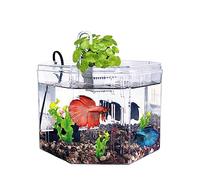 Aquarium Petit Aquarium boîte d'isolation élevage spécial Acrylique Transparent avec Pompe Filtration ornemental Bureau Maison