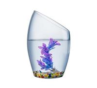 Aquarium Petit Aquarium en Verre Transparent, Multi-usages, Petits Poissons Rouges, élevage de Plantes hydroponiques, réservoirs de Poissons décoratifs Bac à Poisson(Grand)