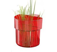 Aquarium Plant Holder, Aquatic Basket with Hook, Planter Cups for Waterweed, Fish Tank Decorations, Ideal for Aquatic Plants, Easy to Use and Maintain, 3.15x2.36x3.15 inches