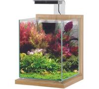 Aquarium poisson équipé 10 litres Jalaya 2 chêne clair - Zolux Bois