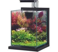 Aquarium poisson équipé 10 litres Jalaya 2 gris anthracite - Zolux Gris