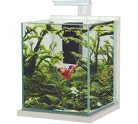 Aquarium poisson équipé 18,7 litres Jalaya XL cérusé blanc - Zolux Blanc