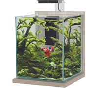 Aquarium poisson équipé 18,7 litres Jalaya XL zebrano gris - Zolux Gris