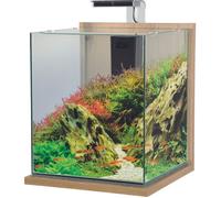 Aquarium poisson équipé 31,5 litres Jalaya XXL chêne clair - Zolux Bois