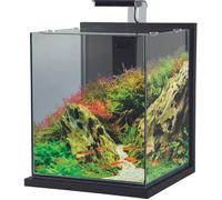Aquarium poisson équipé 31,5 litres Jalaya XXL gris anthracite - Zolux Gris