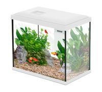 Aquarium Poisson Initio 30cm Blanc - Zolux