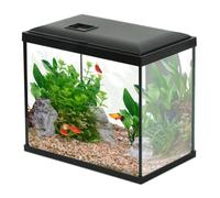 Aquarium Poisson Initio 30cm Noir - Zolux