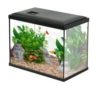 Aquarium Poisson Initio 35cm Noir - Zolux
